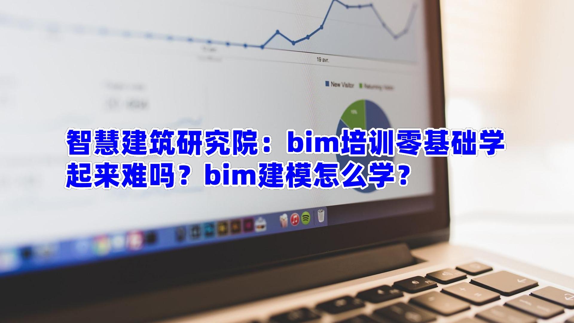 BIM33.jpg