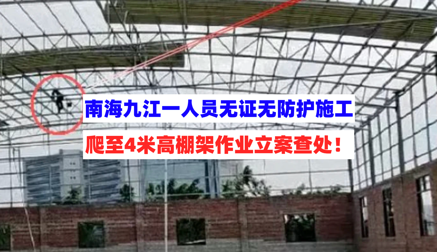 立案查处！南海九江一企业施工人员无证无防护爬上4米棚架作业！