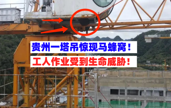 造成威胁！8月27日贵州毕节一工地40米高塔吊惊现大马蜂窝！