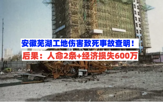 2月28日安徽芜湖一工地起重伤害2人致死事故查明，经济损失600万