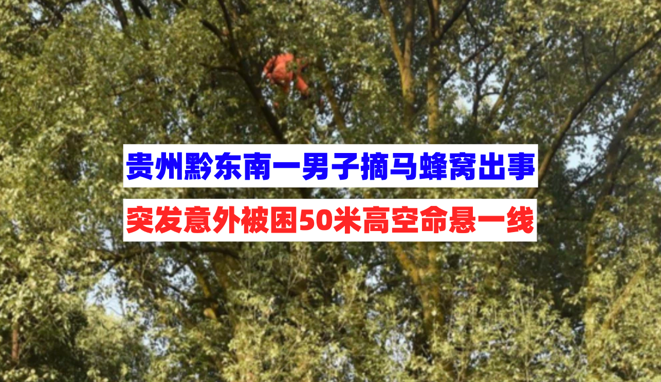 命悬一线！贵州省黔东南一男子在摘取马蜂窝时被困50米高空