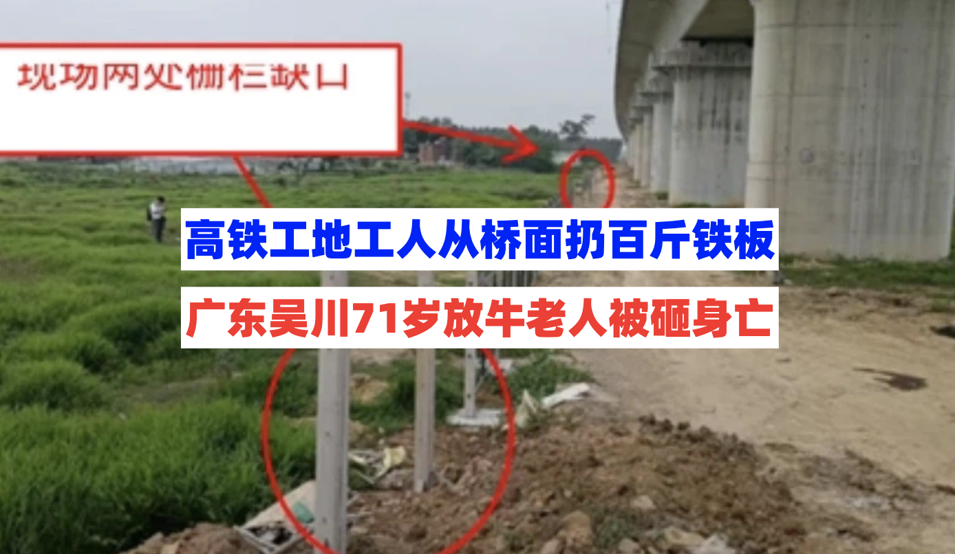 广东吴川一放牛老人被高铁工地工人从桥面扔下的铁板砸中死亡！
